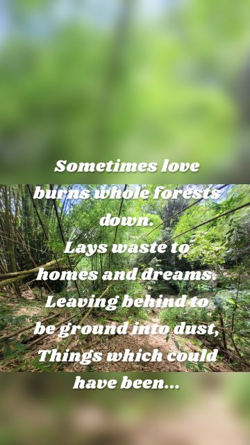 Sometimes love burns whole forests down. Lays waste to homes and dreams. Leaving behind to be ground into dust, Things which could have been...